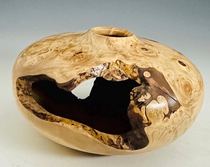 Maple Burl Vase/Hollow form