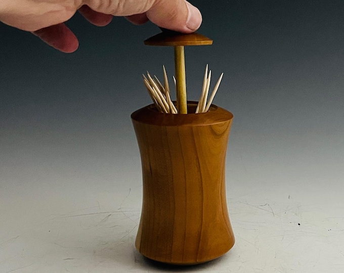 Unique Wood Toothpick Holder -  Cherry & Walnut