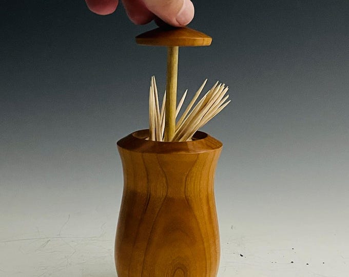 Unique Wood Toothpick Holder -  Walnut & Maple