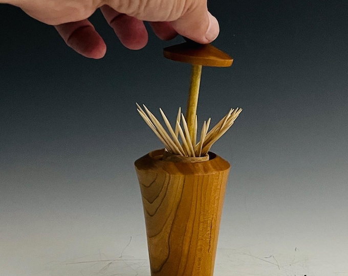 Unique Wood Toothpick Holder -  Cherry & Walnut