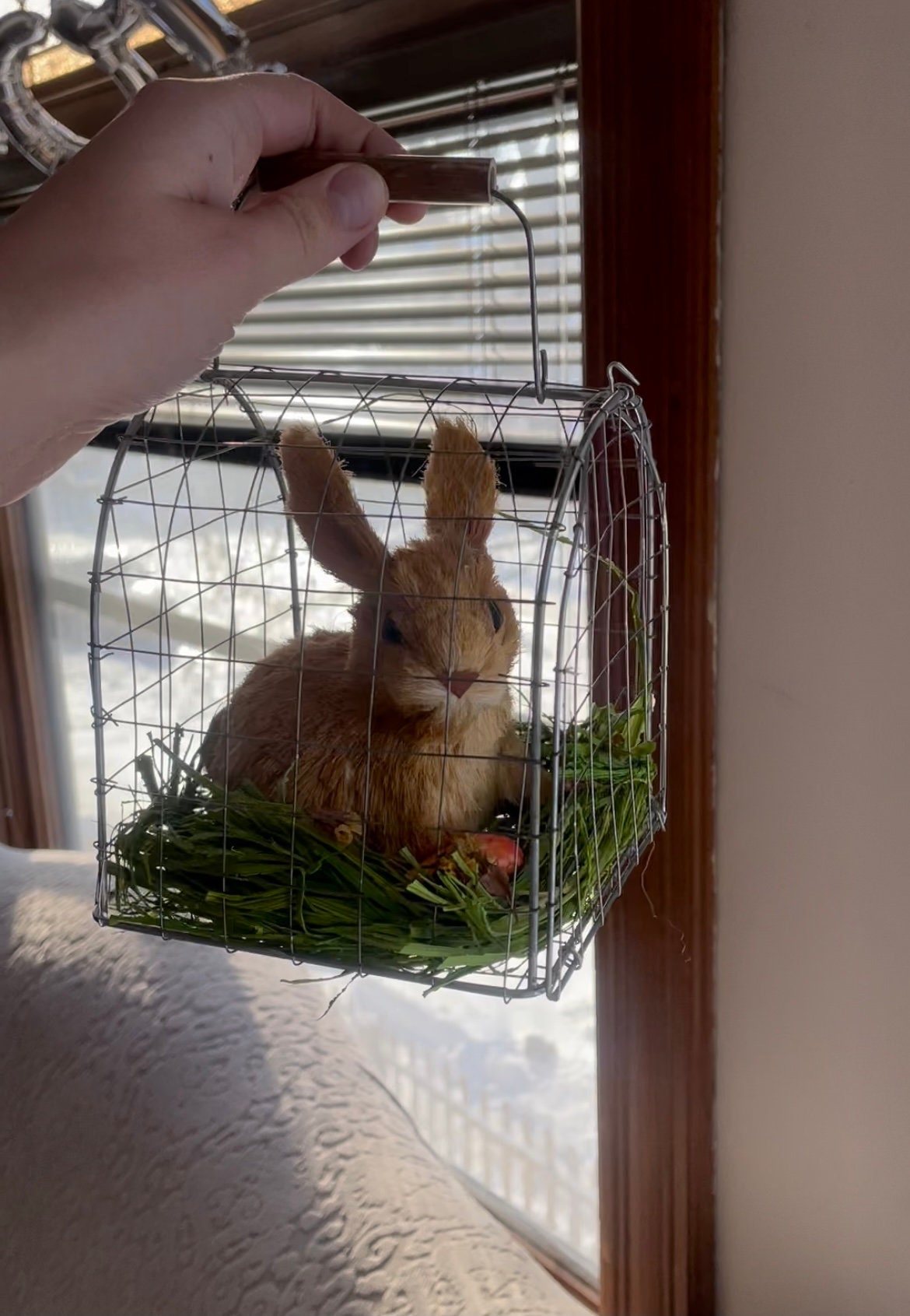 Rabbit cage decorations hotsell