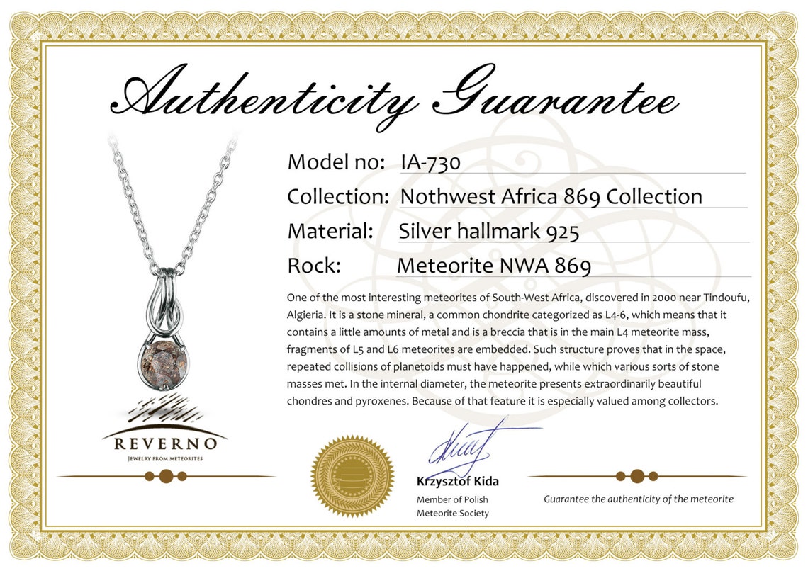 Meteorite Pendant In Silver Diamond Cut Love Knot Heracles Etsy