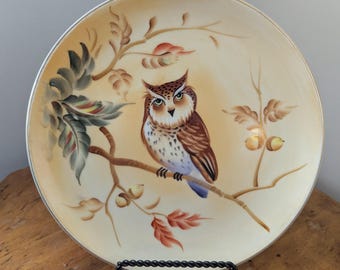 Vintage Japan Owl Porcelain Plate Hand Painted Bird Collector Plate