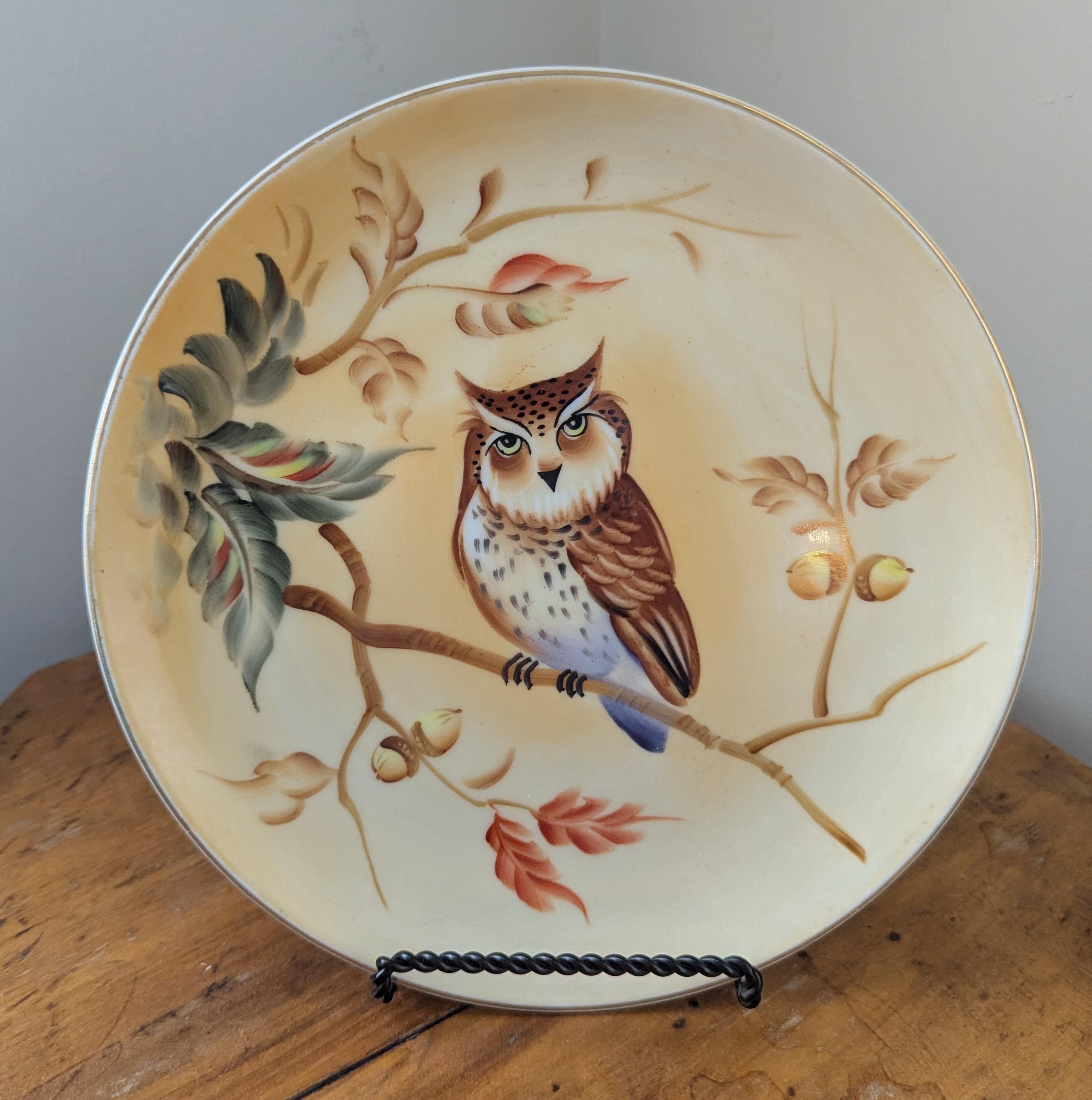 Vintage Japanese Owl Plate, Hand Painted Bird Ceramic Wall Art