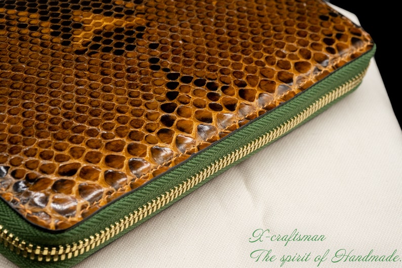 Close-up of Exotic Python Texture