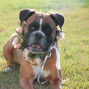 Hochzeitshund Blumenhalsband - Hunde Blumenkrone - blush oder blau Blumenhalsband - Geburtstagsparty für Hunde