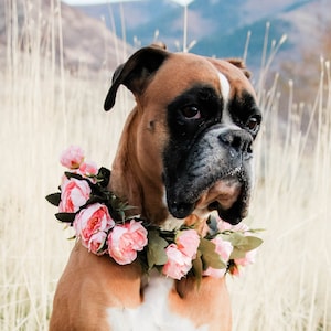 Pink dog flower crown - wedding dog flower collar - large pet floral collar
