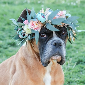 Blush petrol Hundehalsband - Hochzeit Hund Blumenkrone - Haustier Blumenmädchen Blumenhalsband