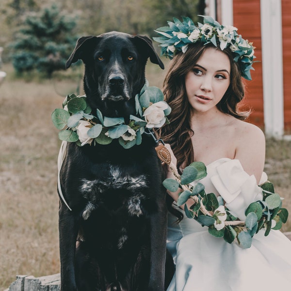Correa de perro floral de boda - collar y correa de flores de perro - corona de flores de perro blanco - accesorio de boda de perro boho
