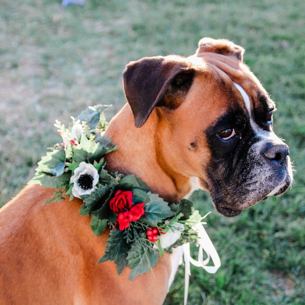 Christmas dog flower collar -  red mistletoe dog flower crown - Pet festive floral collar - white pine holiday wreath