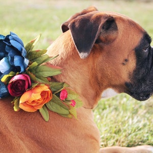Marineblauer Hund Blumenkragen,Hund Herbst Blumenkragen,Hund Hochzeit Accesspry,Hund Geburtstagsparty,Hund Blumenkrone,Haustier Party