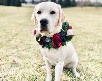 Burgundy dog flower collar - jewel tone dog flower crown - Wedding floral collar - Dog wedding accessory