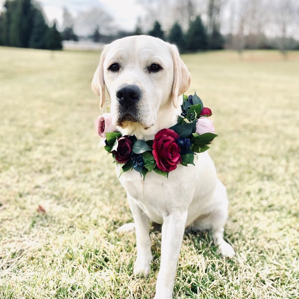 Collar de flores de perro burdeos - corona de flores de perro tono joya - Collar floral de boda - Accesorio de boda para perros