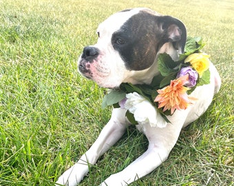 Collier de fleurs de chien de printemps - collier de fleurs de chien pastel - Collier floral pour animaux de compagnie - couronne de mariage pour chien