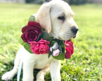 Burgundy blush dog flower crown - dog wedding flower collar - large rose dog floral collar