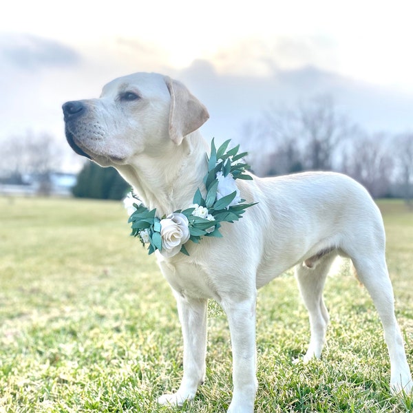 Collier de fleur de chien blanc - couronne de fleur de chien de mariage - Collier floral de fille de fleur d’animal familier