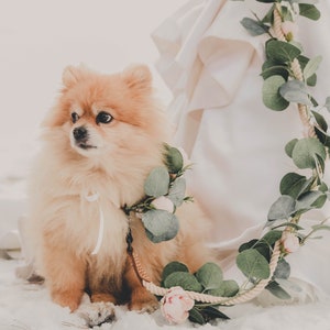 Laisse florale pour chien collier et laisse de fleurs pour chiens couronne de fleurs pour chiens roses accessoire de mariage pour chiens boho image 1