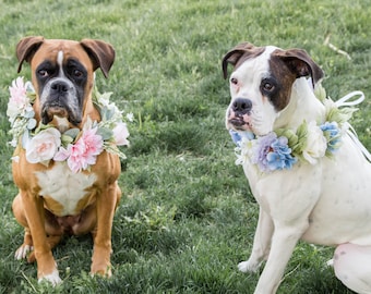 Blue sage dog flower collar -  Pink sage dog flower crown - Pet floral collar - wedding dog wreath