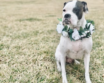 White dog flower collar - eucalyptus dog collar - wedding dog flower crown - Pet flower girl floral collar