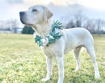 Collier de fleur de chien blanc - couronne de fleur de chien de mariage - Collier floral de fille de fleur d’animal familier