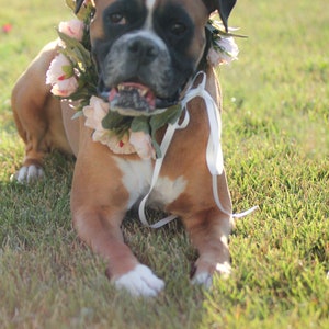 Floral dog leash dog flower collar and leash pink dog flower wreath boho dog wedding accessory image 5