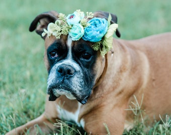 Blue dog flower crown,puppy flower collar,succulent dog flower headband,wedding accessory,dog birthday party,dog floral crown,pet party