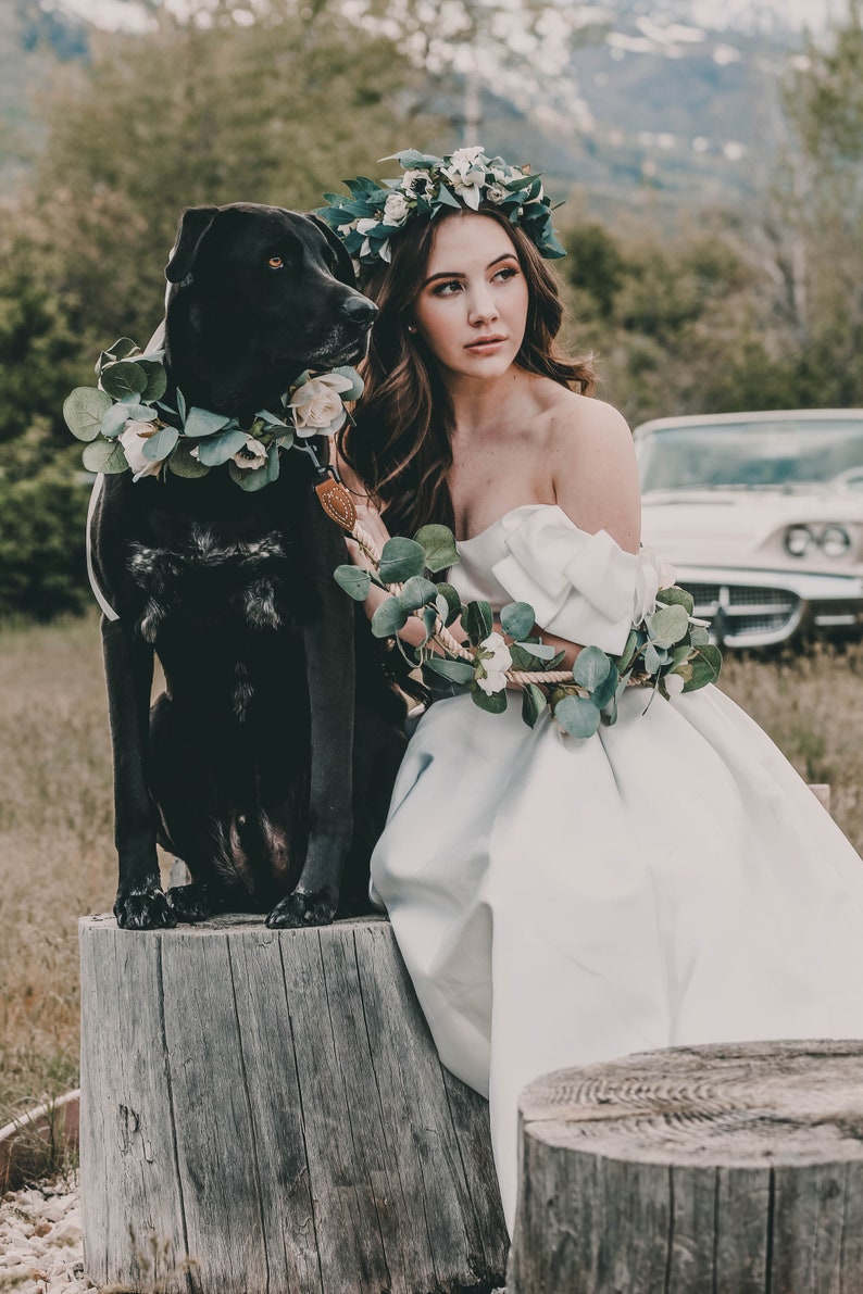 Wedding Floral dog leash dog flower collar and leash white Etsy