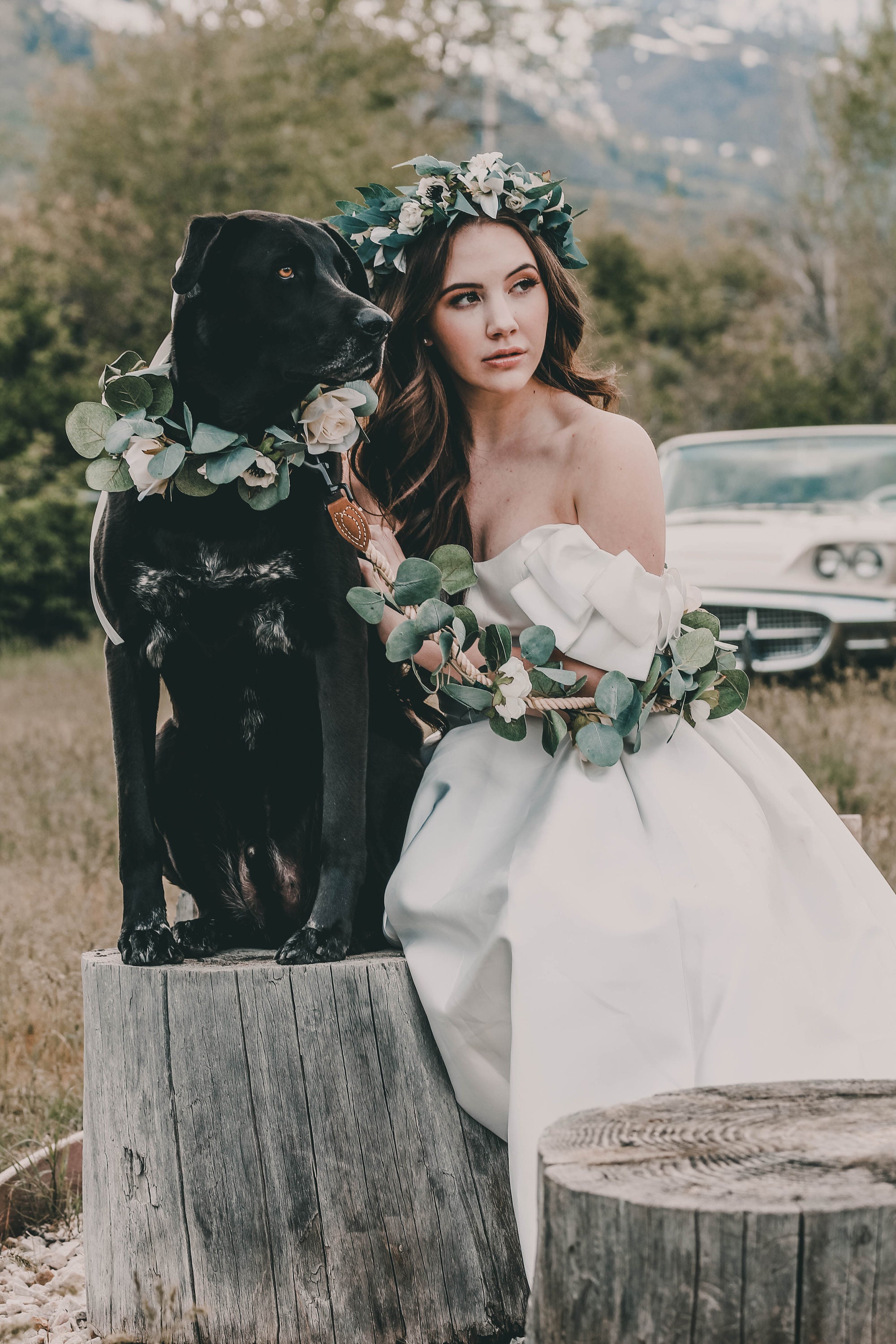 Wedding Floral Dog Leash Dog Flower Collar and Leash White Etsy