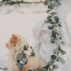 Floral dog leash dog flower collar and leash pink dog flower wreath boho dog wedding accessory image 7