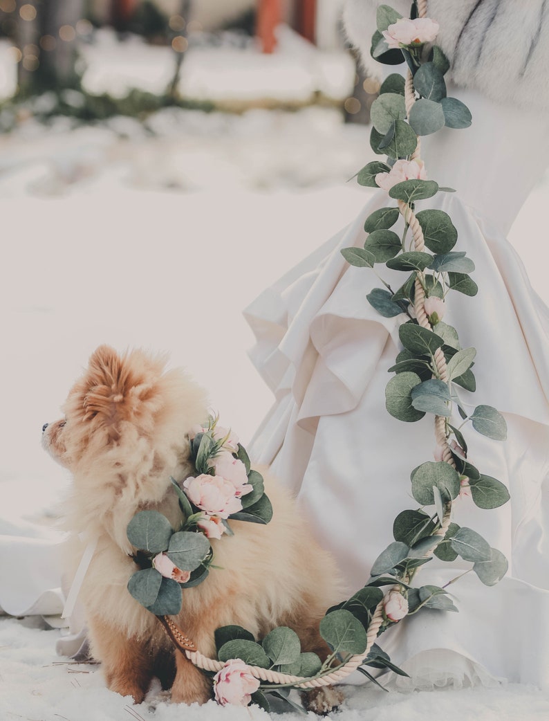 Floral dog leash dog flower collar and leash pink dog flower wreath boho dog wedding accessory image 7