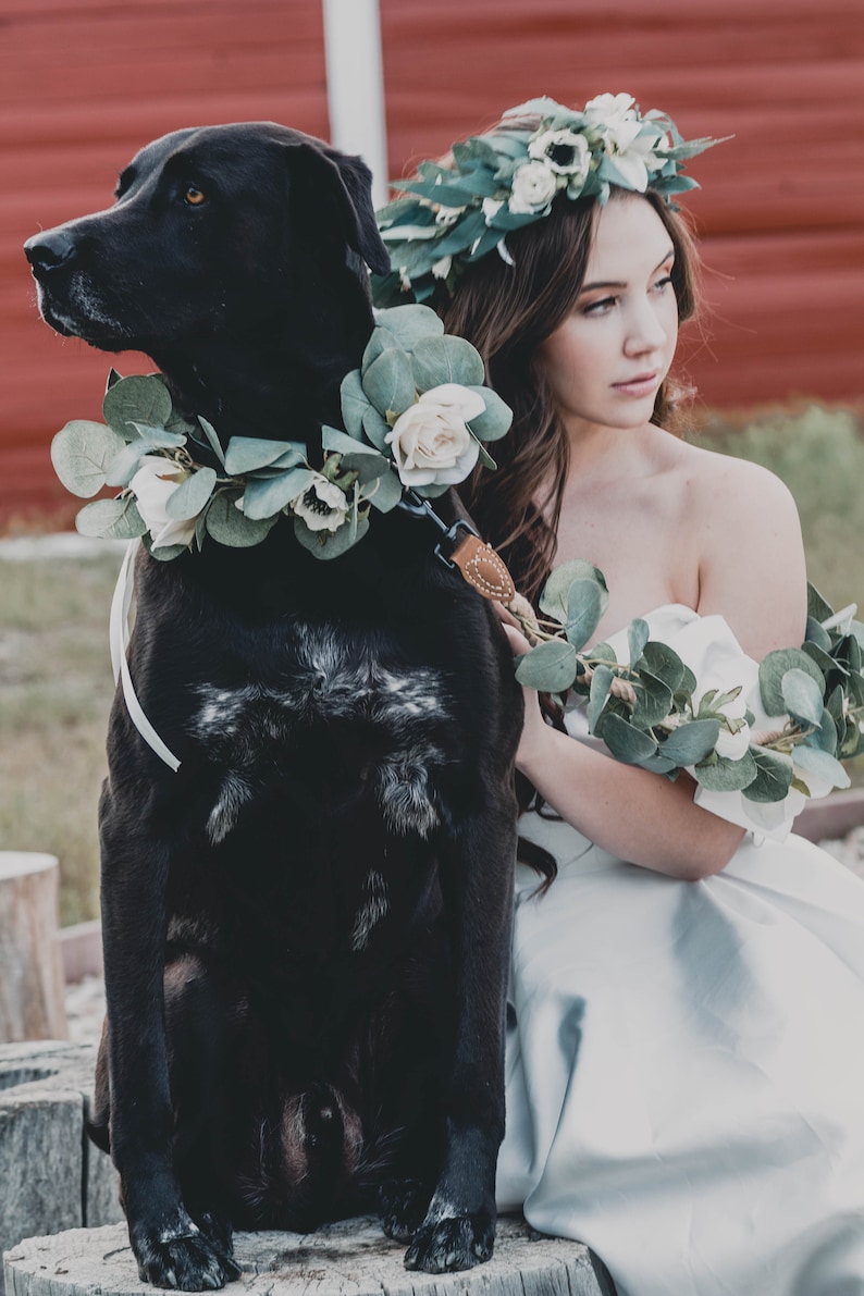 Wedding Floral dog leash dog flower collar and leash white Etsy