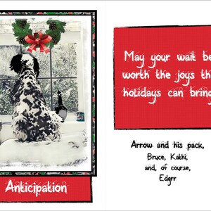 Custom Pet Holiday Greeting Cards: Custom Holiday and Christmas Cards featuring your pet!