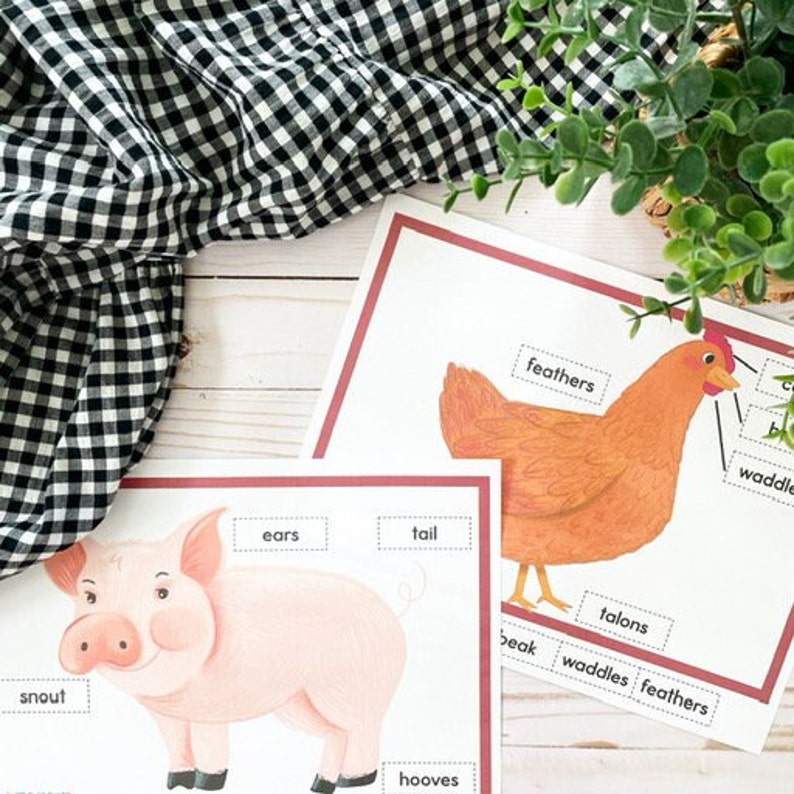 Down on the Farm Unit Study, Preschool Printables, Early Learning, Let's Play School, Homeschool Resources, Kindergarten Curriculum image 9