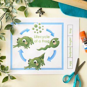 Play and Learn Pond Friends, Preschool Activities, Homeschool Resources, Printables, Sight Words, Montessori, Unit Study image 5