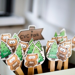 May include: A collection of educational wooden sticks with owl and tree illustrations, arranged in a rectangular container. The sticks feature words like "Tim", "hat", and "use", with a sign that reads "CVC Park".