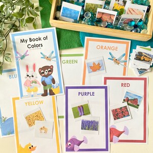 Play and Learn Pond Friends, Preschool Activities, Homeschool Resources, Printables, Sight Words, Montessori, Unit Study image 10