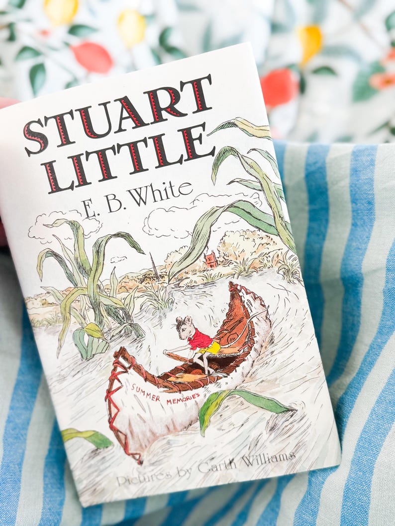 Stuart Little Book Graphics Stuart Little Digital Book Explorer Guide | Novel Study | Homeschool ...