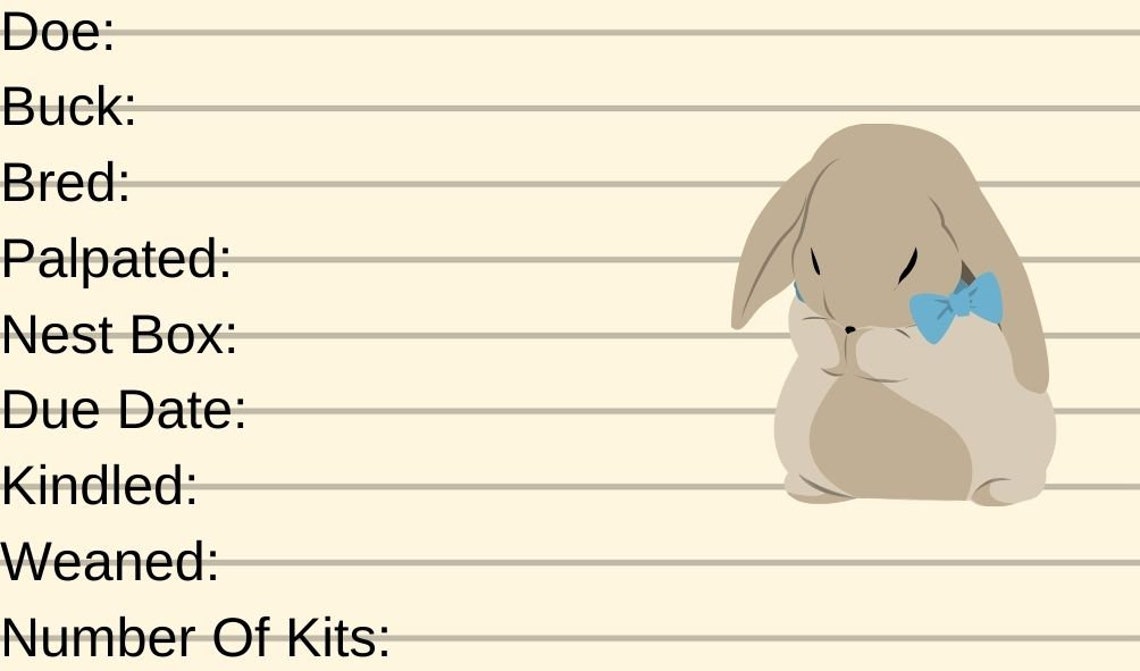 Cute Rabbit Cage and Breeding Tags Etsy España