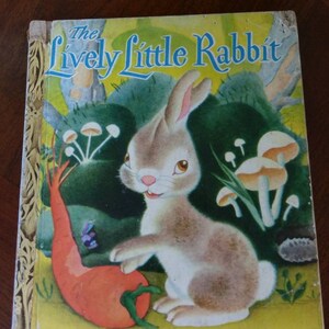 The Lively Little Rabbit image 10