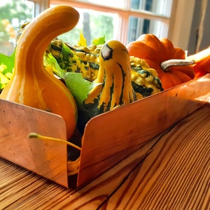 May include: A copper tray filled with gourds and squash in various shades of orange, yellow, and green. The tray is sitting on a wooden surface.