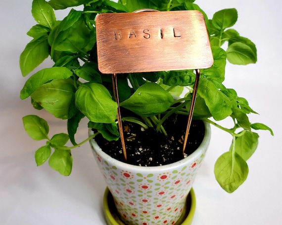 Copper Garden Markers - Herb Planter Markers - Garden Stakes