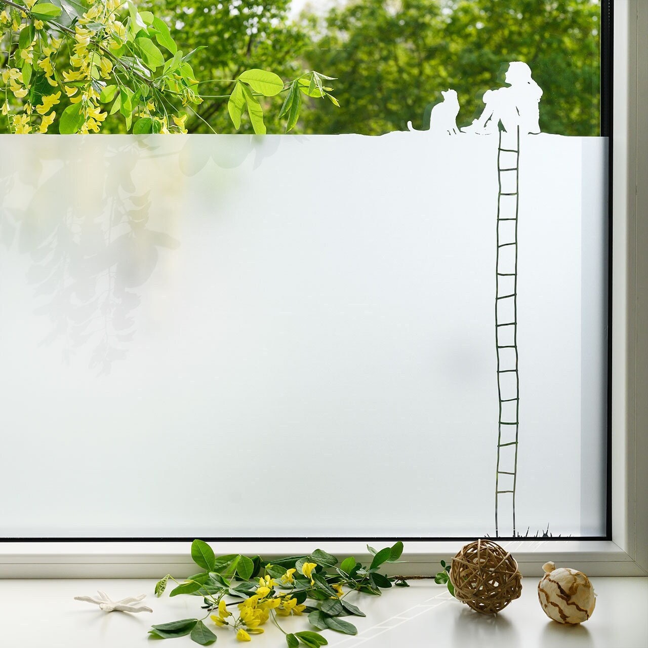 Fensterfolie nach maß