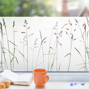 Fensterfolie Milchglasfolie Sichtschutz für Fenster Gräser Motiv g428