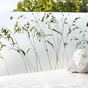 Könnte beinhalten: Eine Milchglas-Fensterfolie mit einem Silhouetten-Design aus hohem Gras. Die Folie ist durchscheinend und lässt Licht durch. Im Vordergrund befindet sich eine weiße Cherub-Figur.
