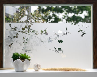 May include: A white frosted window film with a silhouette of a branch with leaves and birds. The film is installed on a window with a wooden frame. A white ceramic planter with green succulents sits on a white windowsill with a white seashell and a dried grass stalk.