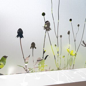 May include: Silhouette of a bird and various plants on a frosted glass window pane. The plants are in shades of green and black.