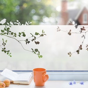 Privacy film. Creative window film. Frosted glass film with branches and bird motif g421 image 2