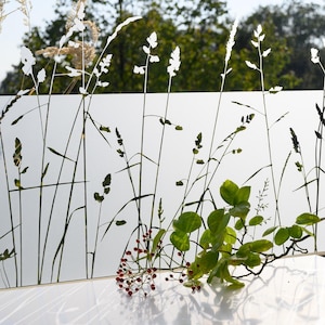 May include: A frosted glass window film with a silhouette design of tall grasses and small flowers. The film is translucent and allows light to pass through. A small branch with green leaves and red berries is in the foreground.