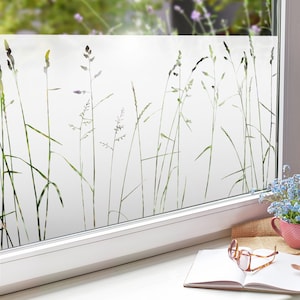 Modern window film privacy film. Decor for kitchen, dining room or living room. Frosted glass film, nature motif g428