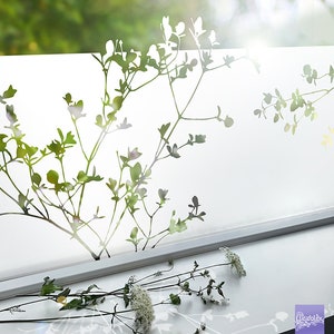 Dekorative Fensterfolie Äste Sichtschutzfolie selbstklebende Sandstrahloptik Milchglasfolie g415